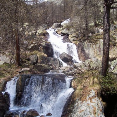 Torrente alpino Torrente alpino