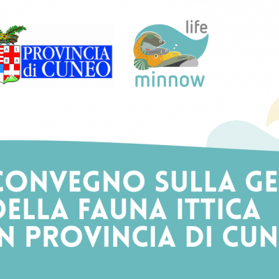 immagine locandina convegno