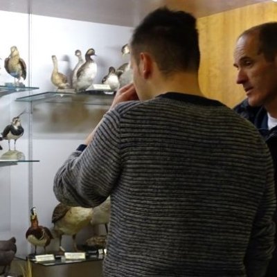 Immagine della collezione tassidermica