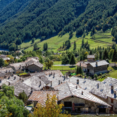 Immagine della Festa delle Alpi - Fête des Alpes 2026