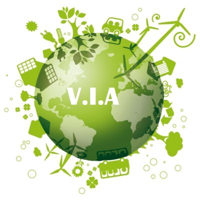 Le fasi della V.i.a.