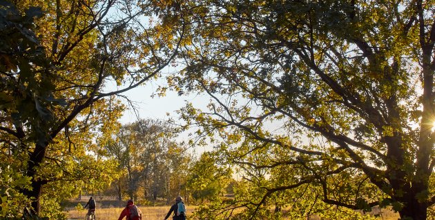 L'immagine rappresenta un accompagnatore cicloturistico