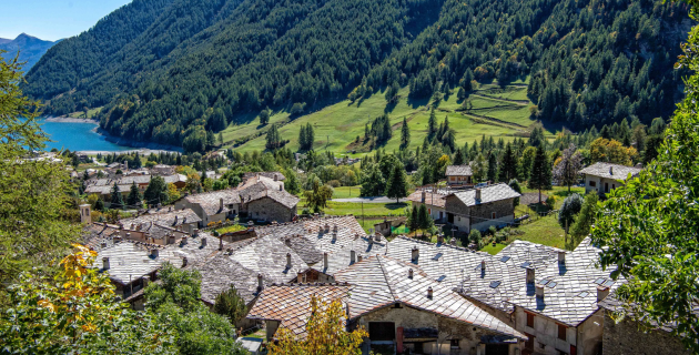 Immagine della Festa delle Alpi - Fête des Alpes 2026